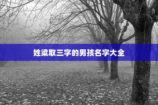 姓粱取三字的男孩名字大全