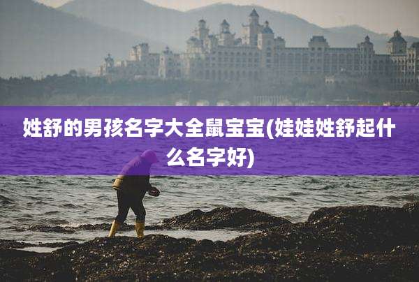 姓舒的男孩名字大全鼠宝宝(娃娃姓舒起什么名字好)