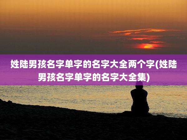 姓陆男孩名字单字的名字大全两个字(姓陆男孩名字单字的名字大全集)