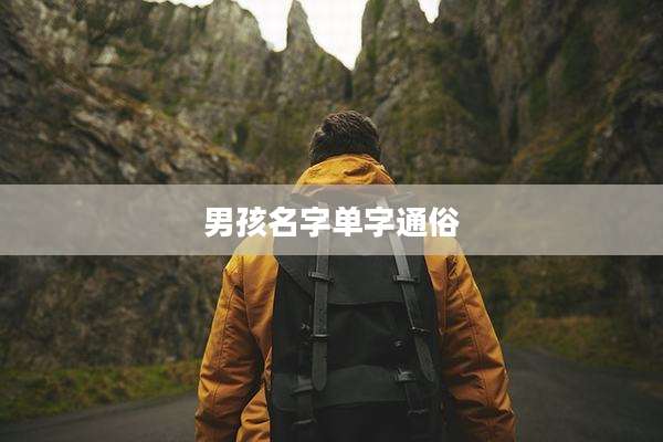 男孩名字单字通俗