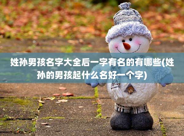 姓孙男孩名字大全后一字有名的有哪些(姓孙的男孩起什么名好一个字)