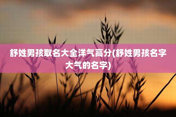 舒姓男孩取名大全洋气高分(舒姓男孩名字大气的名字)