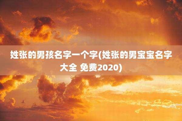 姓张的男孩名字一个字(姓张的男宝宝名字大全 免费2020)