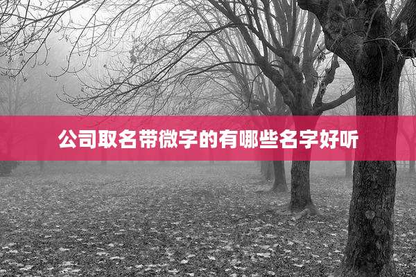 公司取名带微字的有哪些名字好听