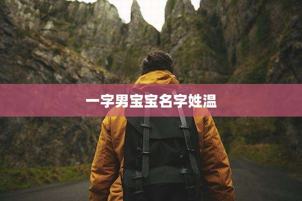 一字男宝宝名字姓温