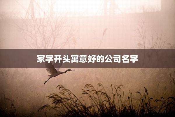 家字开头寓意好的公司名字