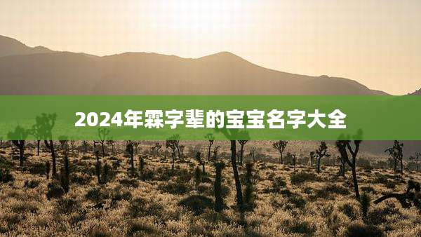 2024年霖字辈的宝宝名字大全