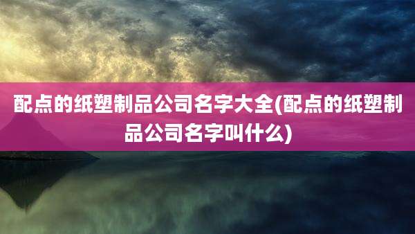 配点的纸塑制品公司名字大全(配点的纸塑制品公司名字叫什么)