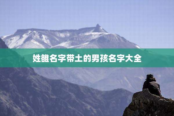 姓雒名字带土的男孩名字大全