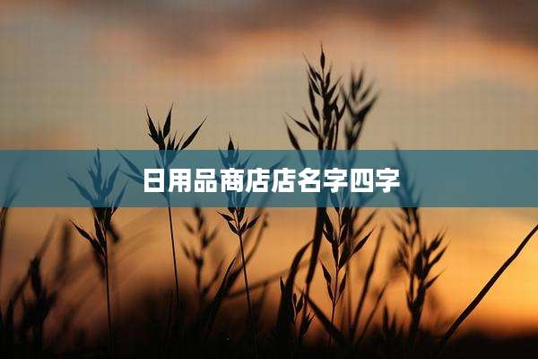 日用品商店店名字四字