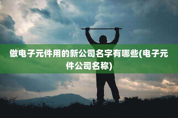 做电子元件用的新公司名字有哪些(电子元件公司名称)