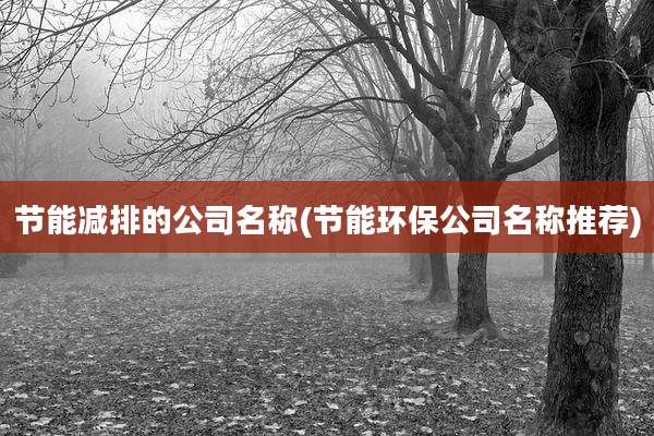 节能减排的公司名称(节能环保公司名称推荐)