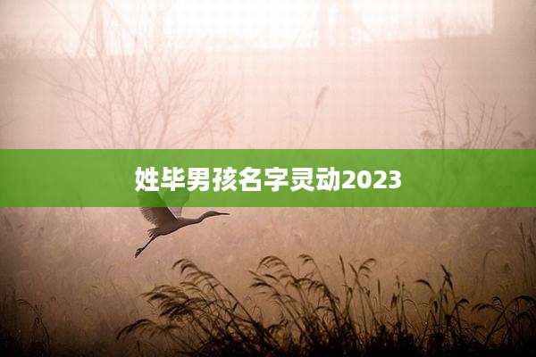 姓毕男孩名字灵动2023