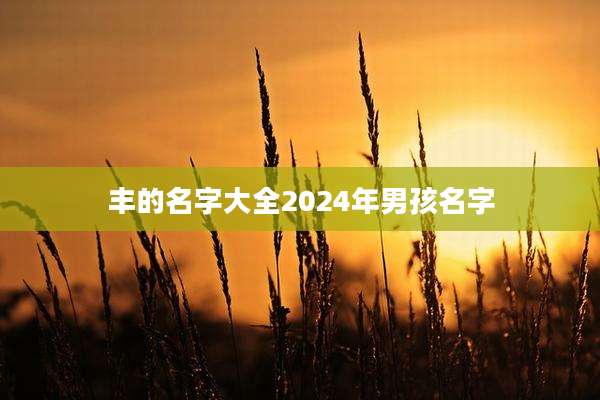 丰的名字大全2024年男孩名字