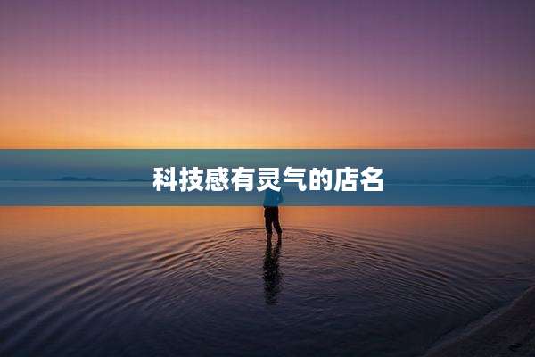 科技感有灵气的店名