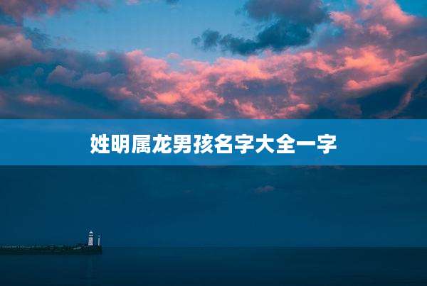 姓明属龙男孩名字大全一字