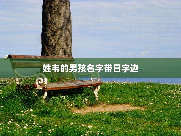 姓韦的男孩名字带日字边