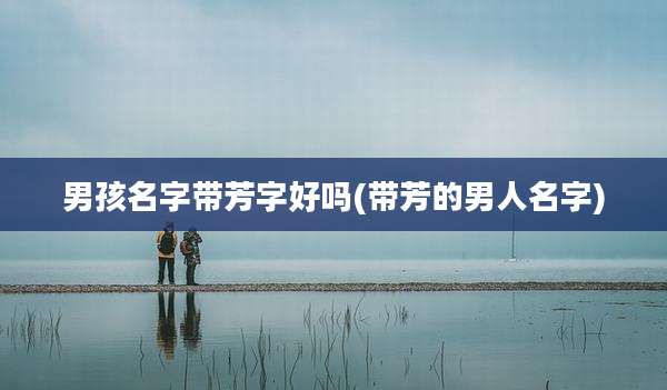 男孩名字带芳字好吗(带芳的男人名字)