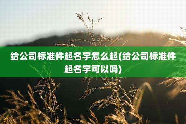 给公司标准件起名字怎么起(给公司标准件起名字可以吗)