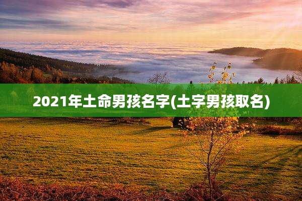 2021年土命男孩名字(土字男孩取名)