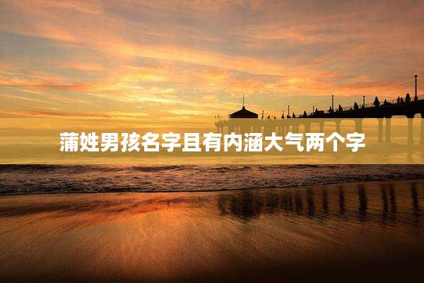 蒲姓男孩名字且有内涵大气两个字