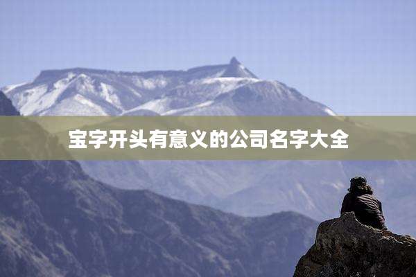 宝字开头有意义的公司名字大全