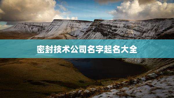 密封技术公司名字起名大全
