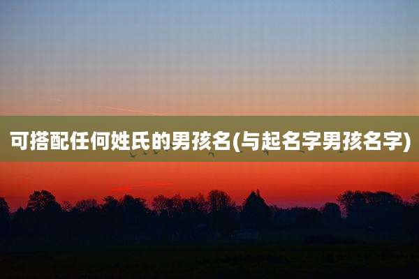 可搭配任何姓氏的男孩名(与起名字男孩名字)
