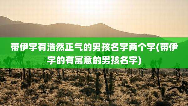 带伊字有浩然正气的男孩名字两个字(带伊字的有寓意的男孩名字)