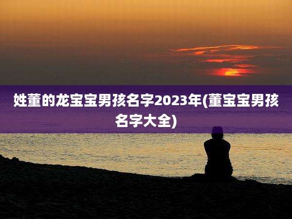 姓董的龙宝宝男孩名字2023年(董宝宝男孩名字大全)