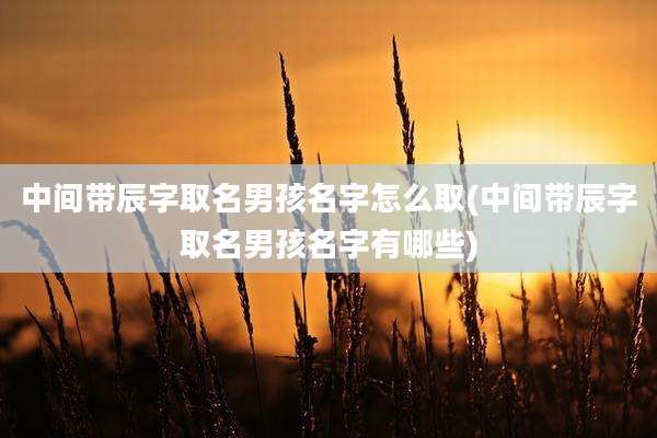 中间带辰字取名男孩名字怎么取(中间带辰字取名男孩名字有哪些)