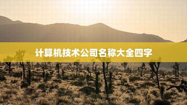 计算机技术公司名称大全四字