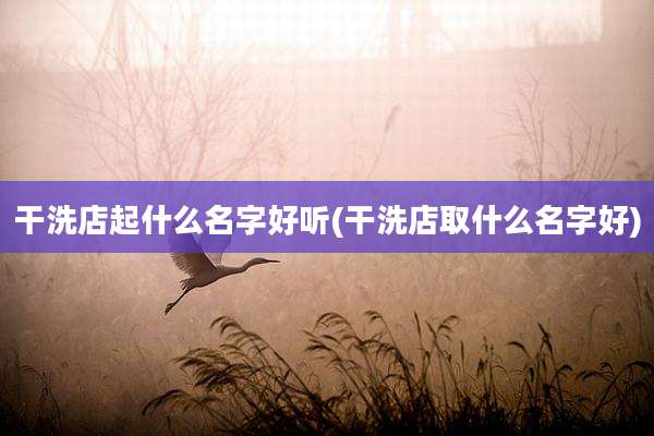 干洗店起什么名字好听(干洗店取什么名字好)