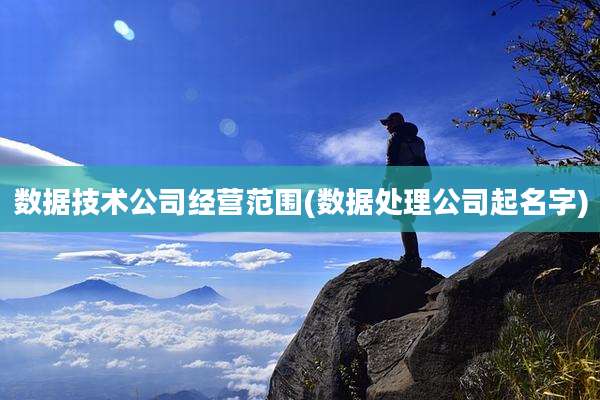 数据技术公司经营范围(数据处理公司起名字)