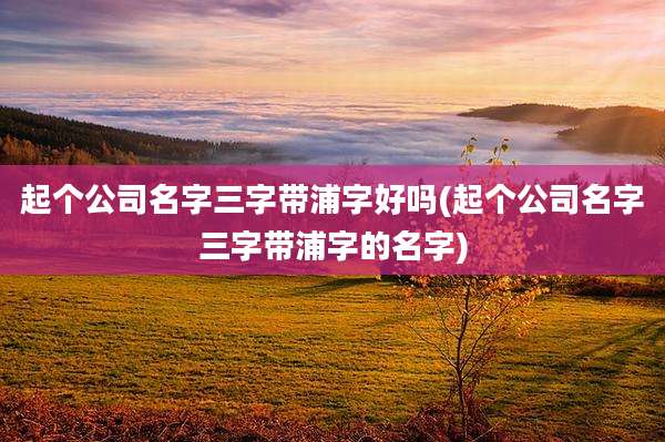 起个公司名字三字带浦字好吗(起个公司名字三字带浦字的名字)