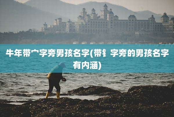 牛年带宀字旁男孩名字(带钅字旁的男孩名字有内涵)