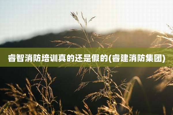 睿智消防培训真的还是假的(睿建消防集团)