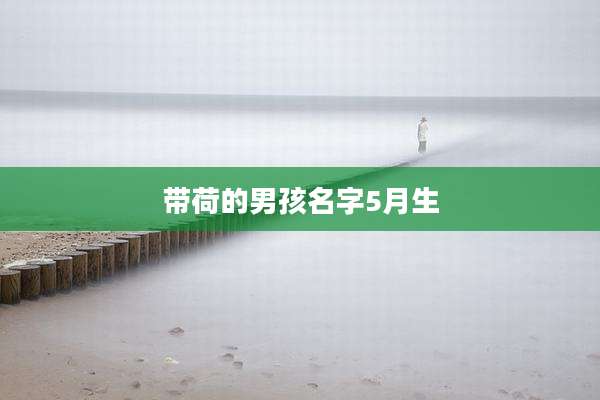 带荷的男孩名字5月生