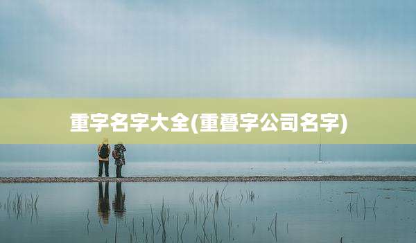 重字名字大全(重叠字公司名字)