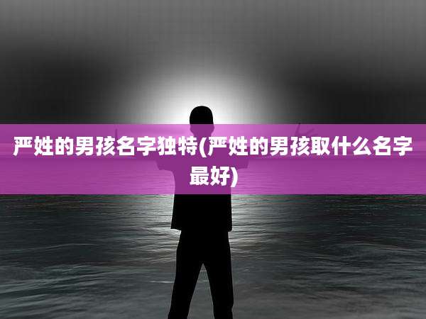 严姓的男孩名字独特(严姓的男孩取什么名字最好)