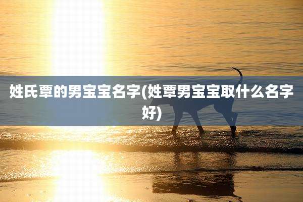 姓氏覃的男宝宝名字(姓覃男宝宝取什么名字好)