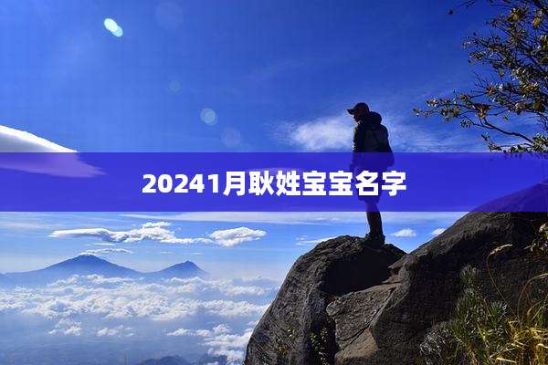 20241月耿姓宝宝名字