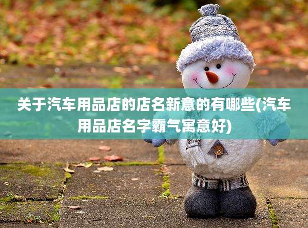 关于汽车用品店的店名新意的有哪些(汽车用品店名字霸气寓意好)