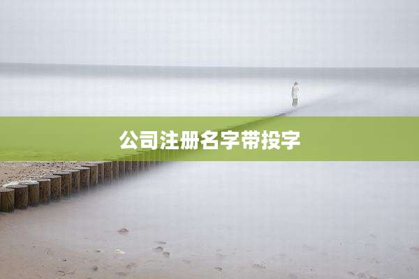公司注册名字带投字