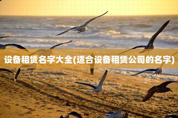 设备租赁名字大全(适合设备租赁公司的名字)