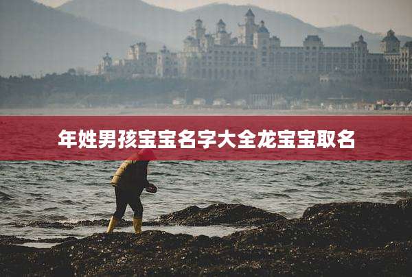 年姓男孩宝宝名字大全龙宝宝取名