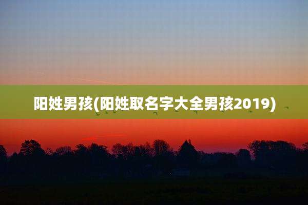 阳姓男孩(阳姓取名字大全男孩2019)