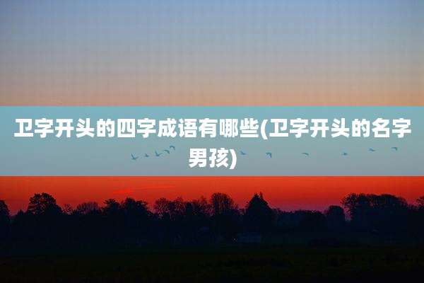 卫字开头的四字成语有哪些(卫字开头的名字男孩)