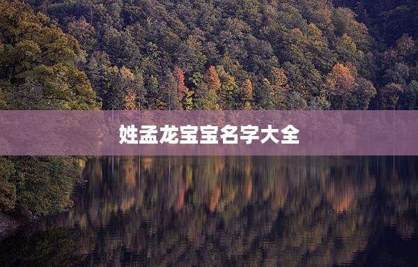 姓孟龙宝宝名字大全