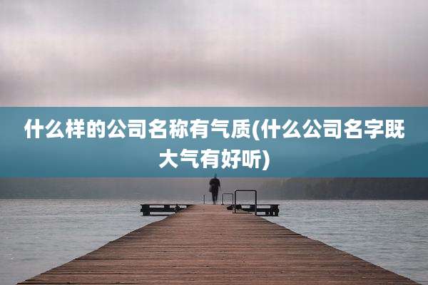 什么样的公司名称有气质(什么公司名字既大气有好听)